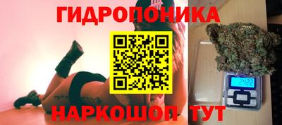 бошки Гай