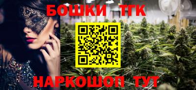 СК Гагарин
