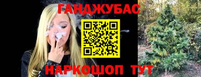 бошки Гай