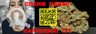СК Гагарин