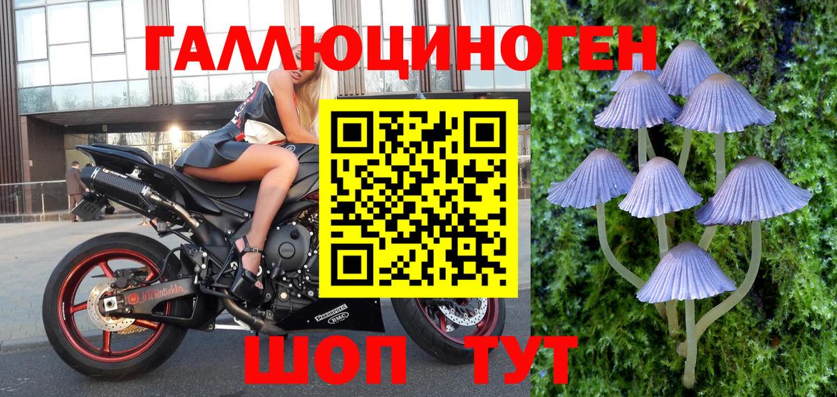 Менделеевск  Галлюциногенные грибы ЛСД  хочу наркоту  Псилоцибиновые грибы Psilocybine cubensis  Вход с VPN 